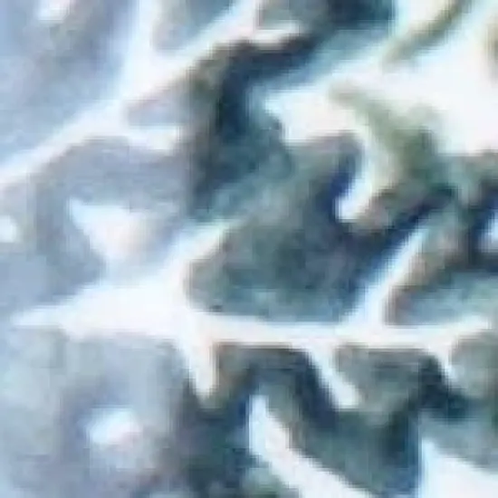 Blue Rose Polish Pottery Vena Dinnerware (16 PC) image {2}