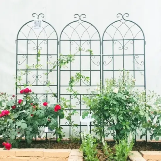 Lirago 2 Pack Metal Garden Trellis Rustproof Climbing Plant Support for Outdoor Flowers Vines Vegetables Black Powder Coated 71"H x 19.7"W x 1"D image {1}