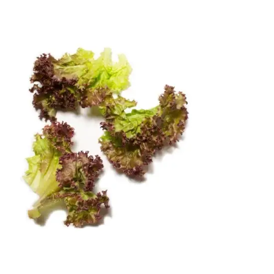 Fresh Red Leaf Lettuce Head - each image {1}