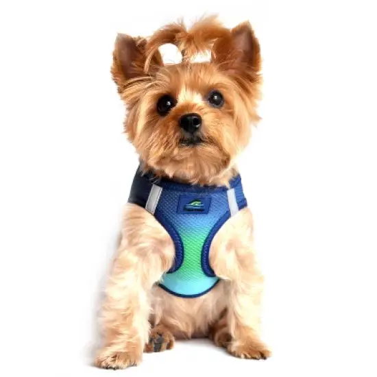 Doggie Design American River Choke Free Dog Harness Ombre Collection-Northern Lights image {3}