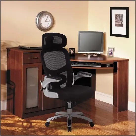 FDW Big and Tall Office Chair Home Office Chair & Sofa Desk Chair with Lumbar Support Flip UP Arms Headrest High Back Ergonomic Mesh Chair, Black image {5}