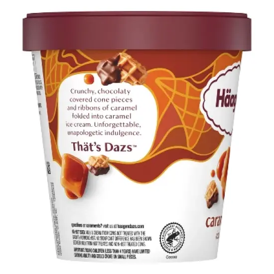 Haagen-Dazs Caramel Cone Ice Cream - 14oz image {8}