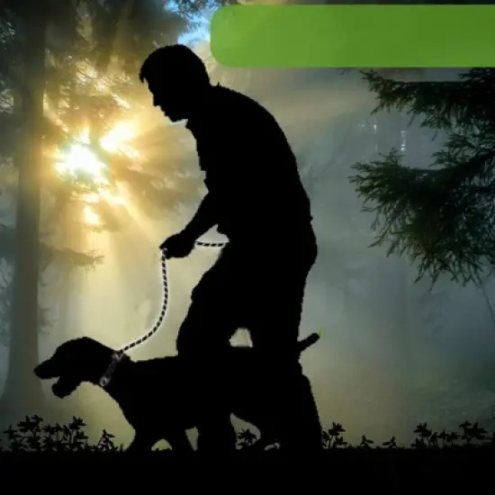 Unique Bargains Nylon Dog Leash Sponge Handle Reflective Rope Length 70.87" Diameter 1/2 inch image {1}