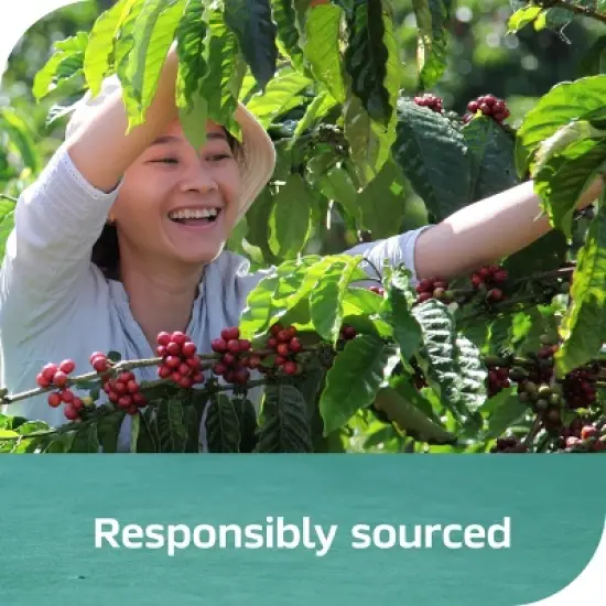 Nescafe Sweet Vanilla Espresso Concentrate - 10 fl oz image {6}