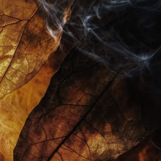 fine'ry. Men's Travel Size Eau De Cologne - Smoke & Leather - 2 fl oz image {5}