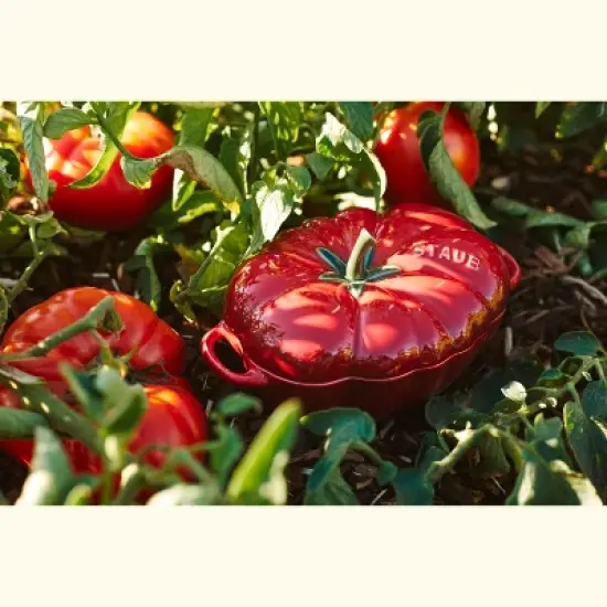Staub Ceramic 16-oz Petite Tomato Cocotte - Cherry image {4}