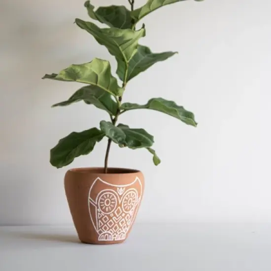 Owl Multi Terracotta Planter - Foreside Home & Garden image {6}