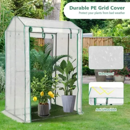 Costway 39'' x 32'' x 59'' Walk-in Garden Greenhouse Warm House for Plant Growing image {6}