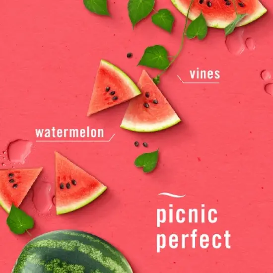 Febreze Plug Triple Refill Air Freshener Sweet Watermelon Vine - 3ct image {2}