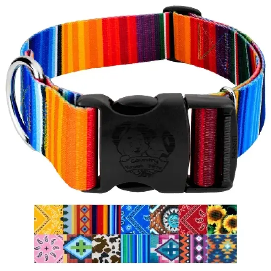 Country Brook Petz HossFit Jr Wide Deluxe Dog Collar - Country and Western Collection image {5}