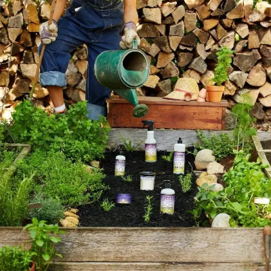 Mrs. Meyer's Clean Day Compassion Flower Collection image {1}