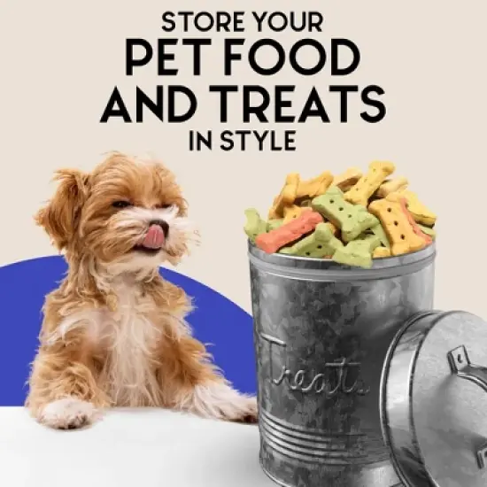 Amici Pet Retro Treats Storage Canister, 72 oz. , Galvanized Metal image {7}