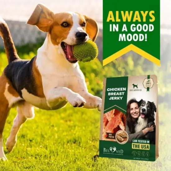 Beloved Pets All Natural Chicken Jerky Dog Treats Chews Grain Free High Protein Human Grade 11 OZ - 1 Pack image {7}