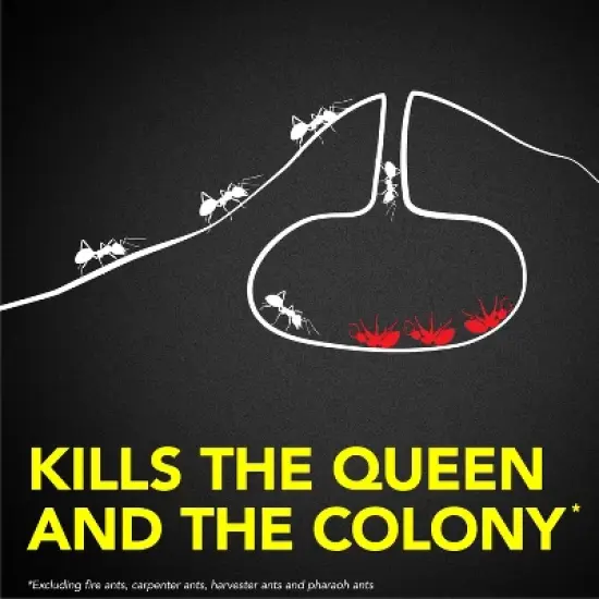 Raid Ant Baits and Indoor Ant Killer - 8ct image {2}