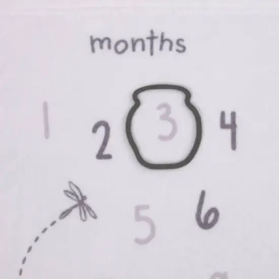 Disney Baby Classic Pooh Milestone Blanket image {3}