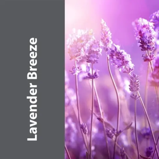 Zeiff Pro-Grade Multi-Purpose Probiotic Enzyme Cleaner - Powerful Cleaning & Odor Eliminating Formula For Professional & Home Surfaces, 32 oz, 2 Pack image {4}