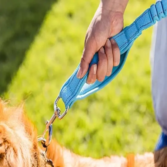 Shed Defender Shock Absorbing Bungee Leash - Three Padded Traffic Handles, Stretches from 4-7 ft. image {5}