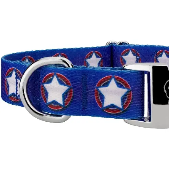 Country Brook Petz Premium American Stars Dog Collar and Leash image {4}