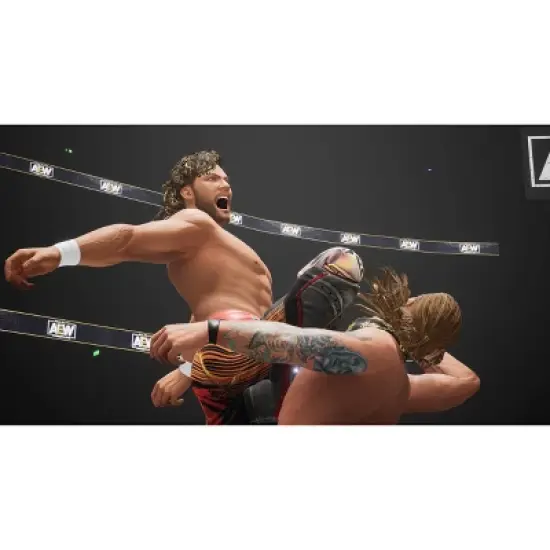 AEW: Fight Forever - Nintendo Switch image {3}