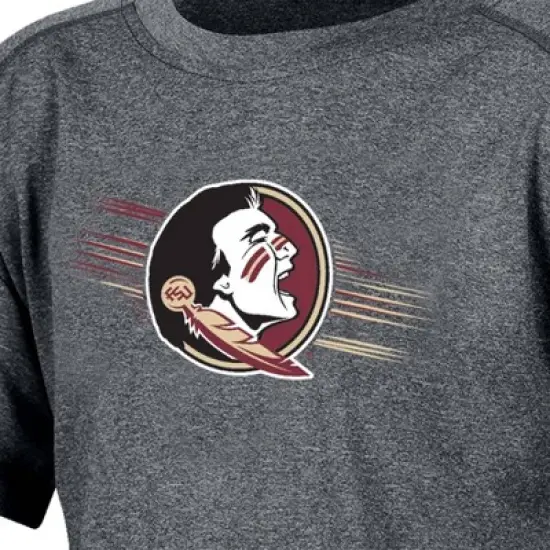 NCAA Florida State Seminoles Boys' Gray Poly T-Shirt image {2}