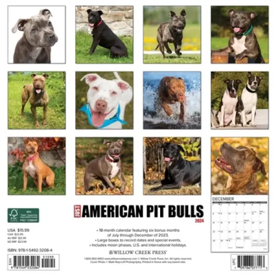 Willow Creek Press 2024 Wall Calendar 12"x12" Just American Pit Bull Terriers image {1}