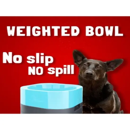 Pet Weighter Elevated Raised Weighted No-Spill Non-Slip Fillable Easy-Clean Water and Food Bowl for Dogs and Cats image {2}