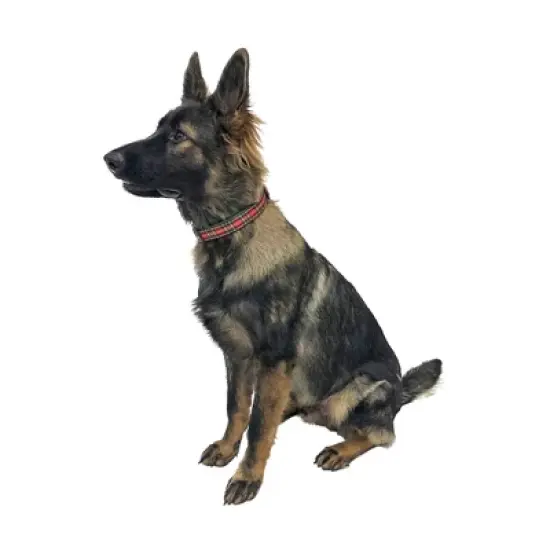 Midlee Red Plaid Christmas Nylon Ribbon Dog Collar image {3}