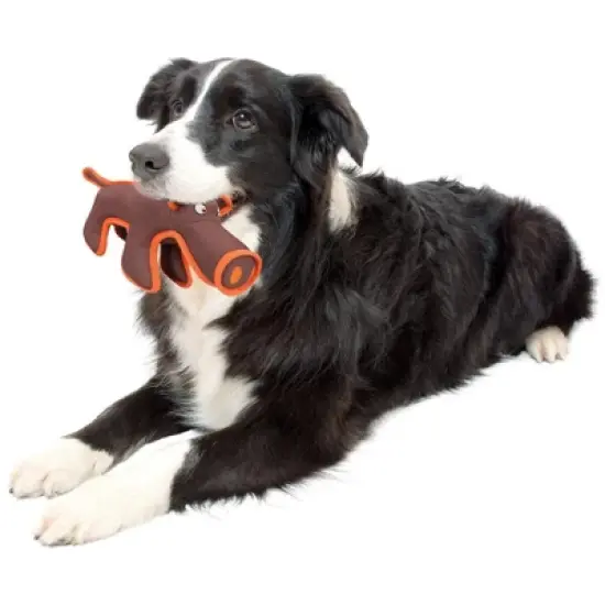 Chery Life Durable Water Resistant Plush Chew Tugging Dog Toy,Brown image {1}