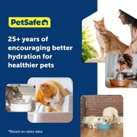 PetSafe 64oz Viva Plastic Dog and Cat Automated Fountain image {6}