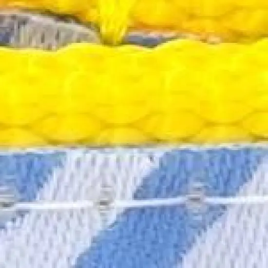 The Worthy Dog Stripe Rubber Duck Dog Leash image {2}