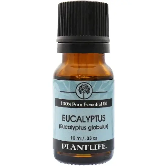 Plantlife Eucalyptus Aromatherapy Essential Oil - Straight from The Plant 100% Pure Therapeutic Grade - No Additives or Fillers image {4}
