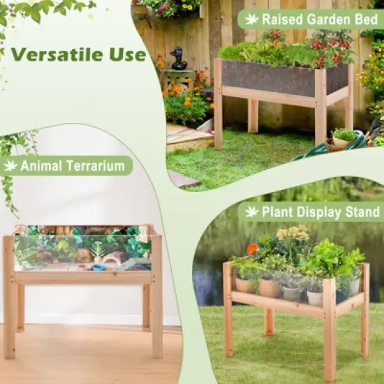 Tangkula Raised Wooden Garden Bed with Legs 24"/31&rdquo; Elevated Planter Box with 2 Acrylic Panel Sides Drain Holes, Movable Beds image {3}