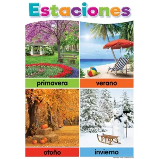Teacher Created Resources&reg; Spanish Colorful Early Learning Small Poster Pack, 11" x 15-3/4", Pack of 12 image {9}