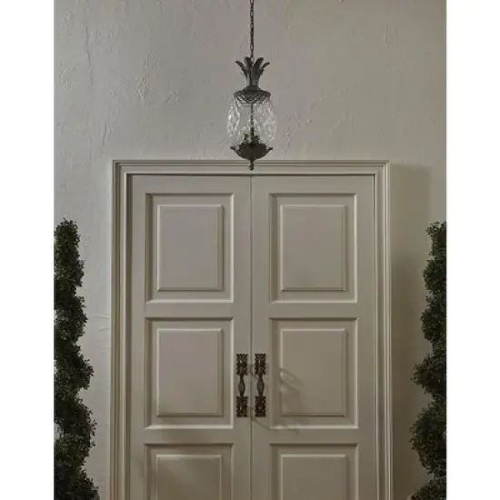 Acclaim Lighting Lanai 3 - Light Pendant in  Black image {1}