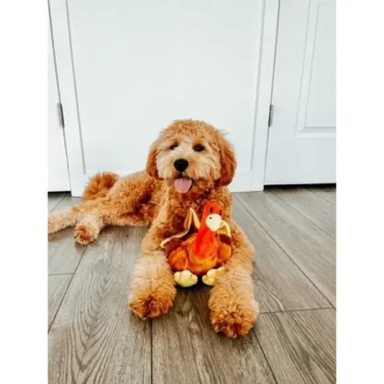 Midlee Thanksgiving Turkey Dog Toy image {5}