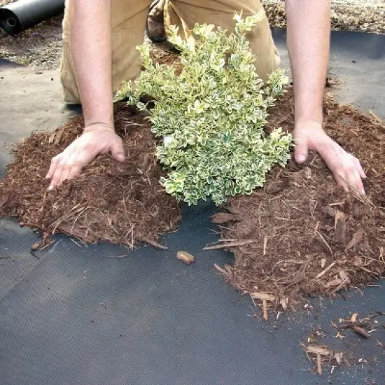 DeWitt Weed Barrier Pro 3-Ounce Commercial and Home Garden Landscape Weed Block Barrier Heavy-Duty Non-Woven Ground Cover Fabric, Black image {4}