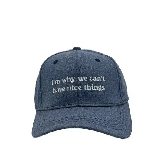 Im Why We Cant Have Nice Things Hat Funny Sarcastic Cap - Crazy Dog Hat Gift for Dad image {9}