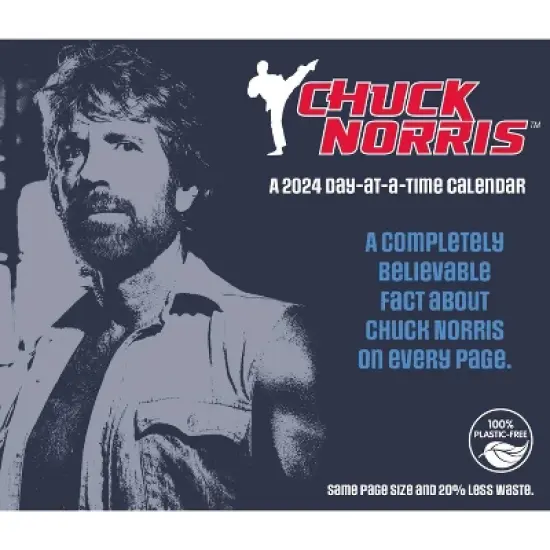 Trends International Inc. 2024 Daily Desk Calendar 4.25"x5" Chuck Norris image {6}