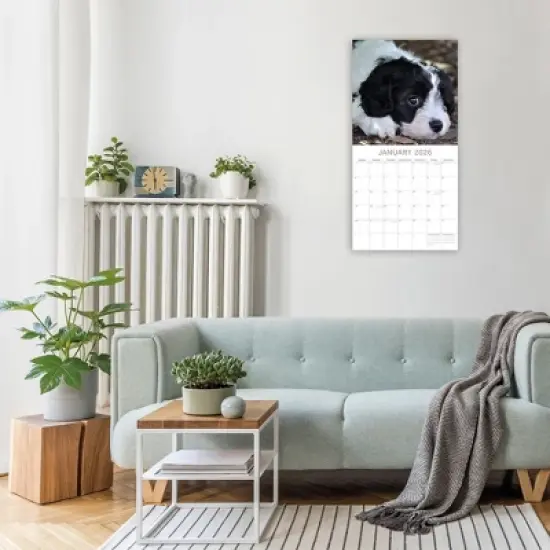 2026 Square Wall Calendar, Celestial, 16-Month Arts & Antiques Theme with 180 Reminder Stickers (12x12 In) image {1}