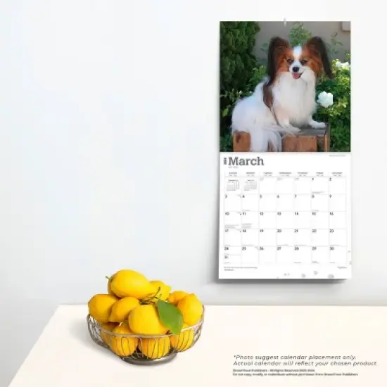 Browntrout 2024 Wall Calendar 12"x12" Papillons image {3}