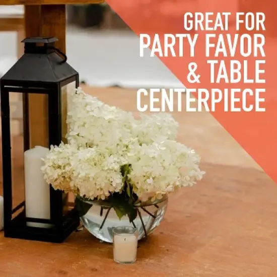 Sterline Plastic Ivy Bowls - 16 Oz Fish Bowls image {7}