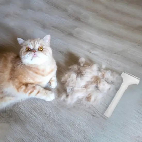 Unique Bargains Deshedding Brush for Cats White 1 Pc image {3}