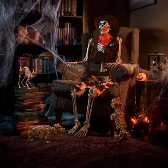 Yescom 2Pcs Poseable Dachshund Dog and 1 Pcs Cat Skeleton Life Size Pet Animal Halloween Yard Decor image {6}