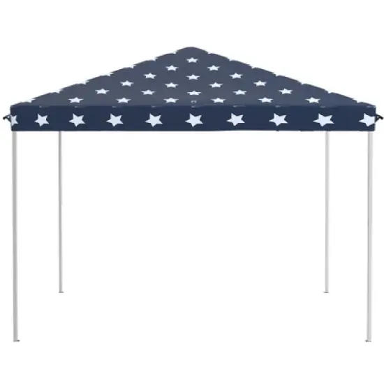 Gulches 10' x 10' Pop Up Canopy Tent with Netting, Instant Gazebo, EZ Up Screen House with Carry Bag, Height Adjustable for Outdoor, Garden, Patio image {8}