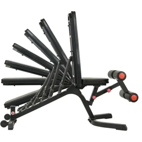 Sunny Health & Fitness Fully Adjustable Utility Weight Bench image {8}