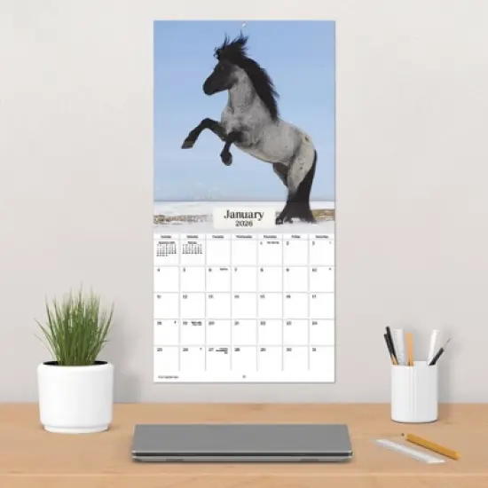 Trends International 2026 Horses 12"x12" Wall Calendar image {4}