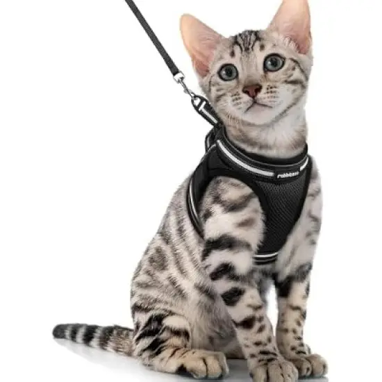 rabbitgoo Cat Harness and image {1}