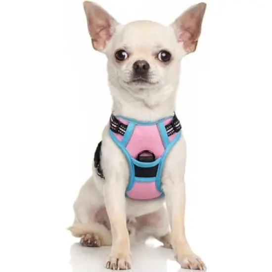 rabbitgoo Dog Harness No Pull with 2 Leash Clips, Control Handle for Puppy, Pink & Blue, XS image {1}