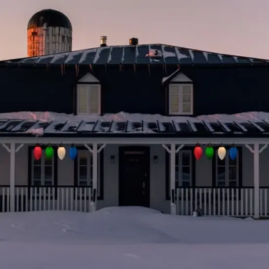 Northlight Lighted Blow Mold C7 Bulbs Christmas Decorations - 20" - Set of 4 image {1}