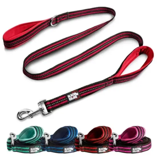 Black Rhino Dog Leash 5ft Long Double Handle w/ Reflective Lead - Aqua image {4}